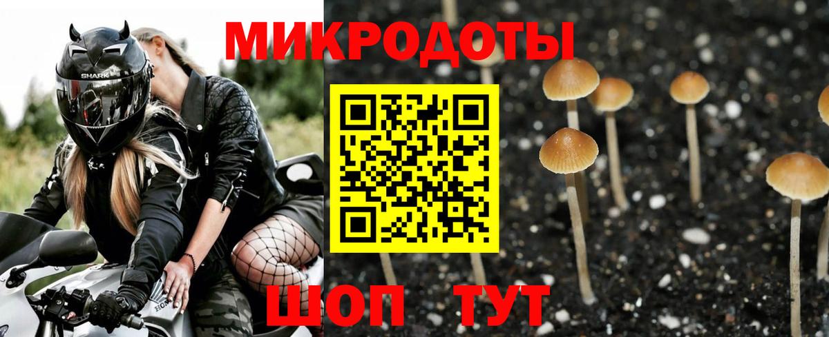Ялуторовск  что такое наркотик  Галлюциногенные грибы Psilocybine cubensis  Вход с VPN  Псилоцибиновые грибы Cubensis 